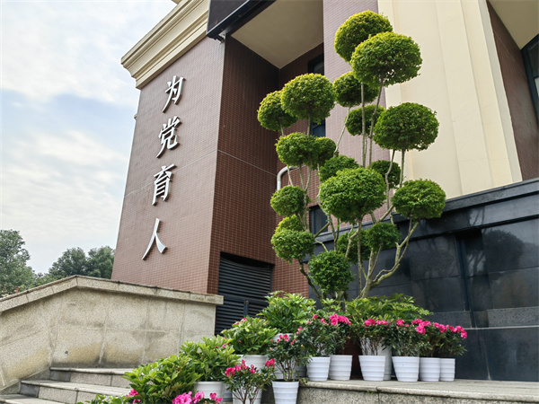 生機｜校園里的綠化更新